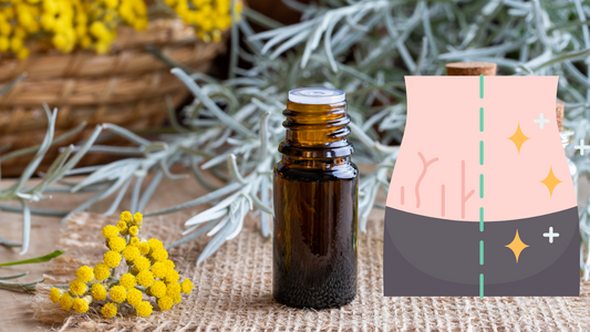 Helichrysum Oil for Scars and Stretch Marks