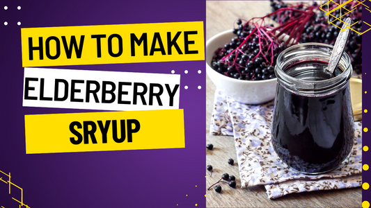 Benefits of Elderberry Syrup