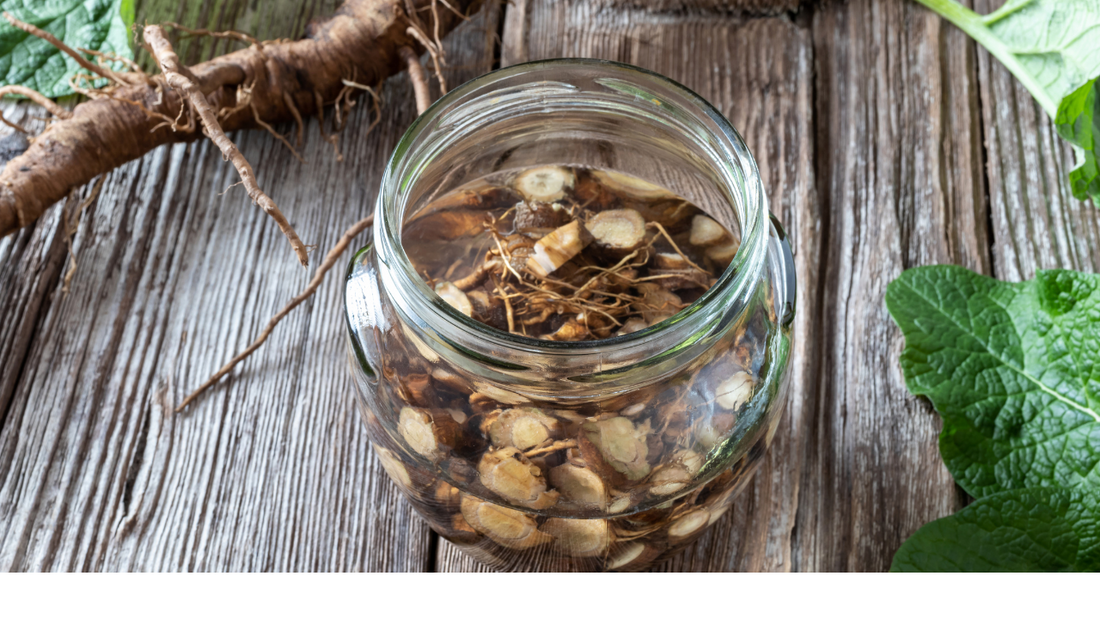 What's Burdock Root? It's Uses, Benefits, and Preparations.