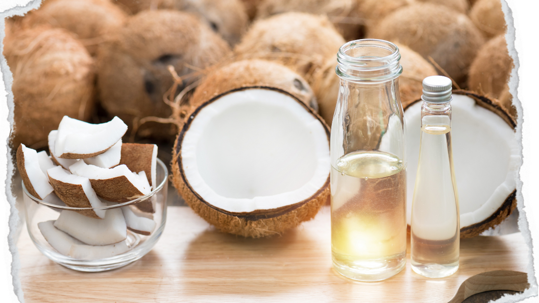 Benefits of Using Coconut Oil on the Skin