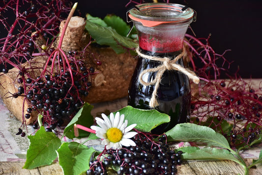 How to Make Elderberry Syrup