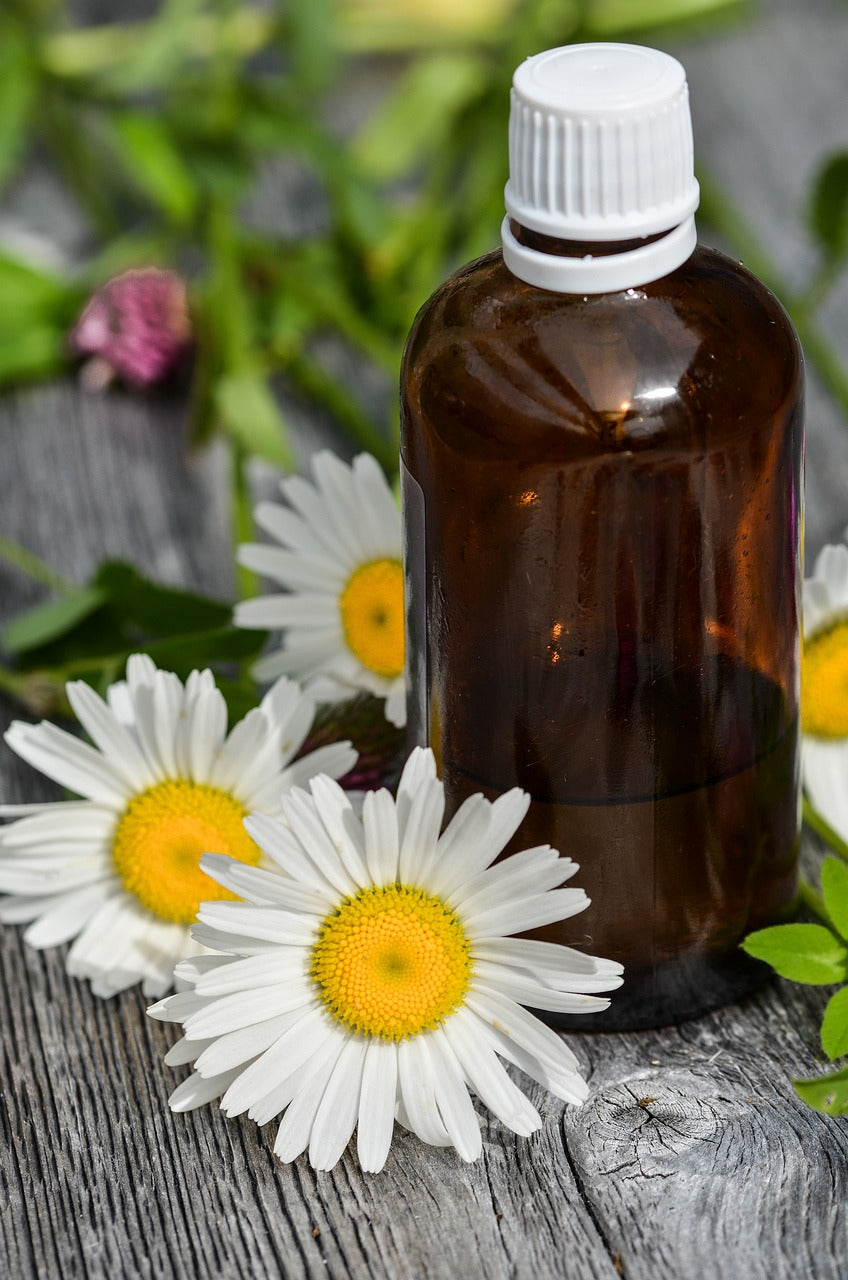 Chamomile Essential Oil Benefits